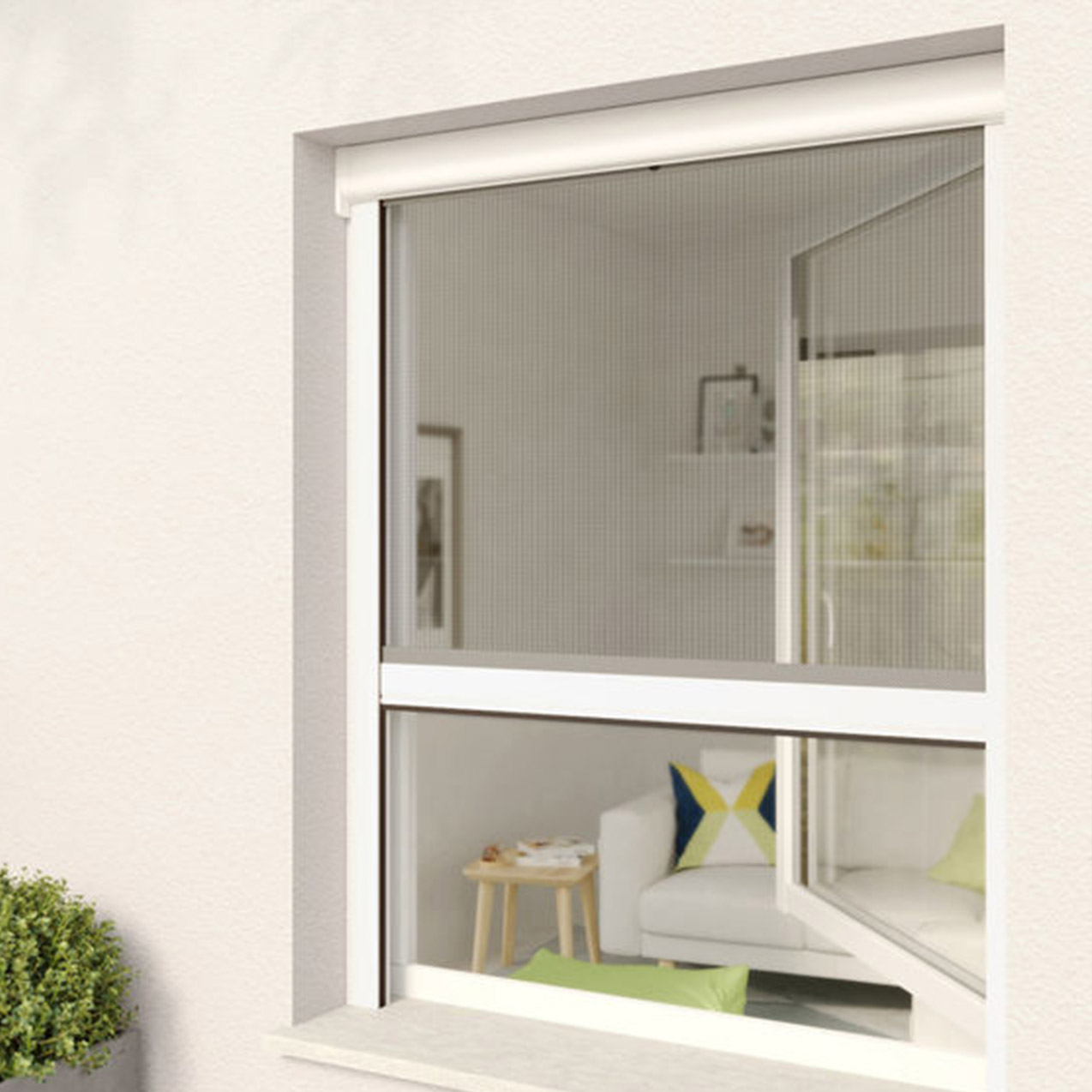 moustiquaire fenetre enroulable