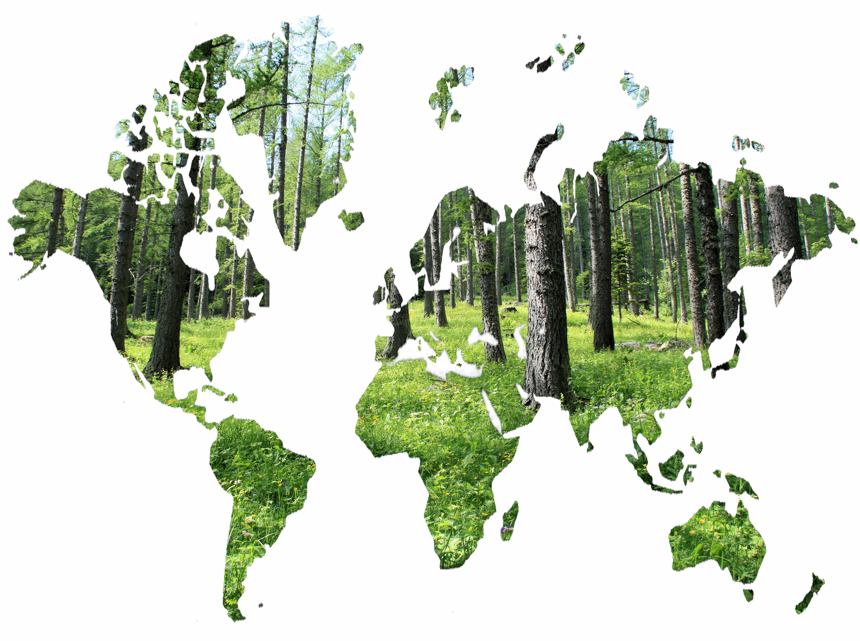 demarche ecologique avosdim